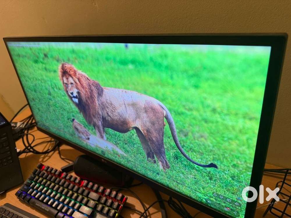 Lg ultrawide monitor 29 inch excellent condition