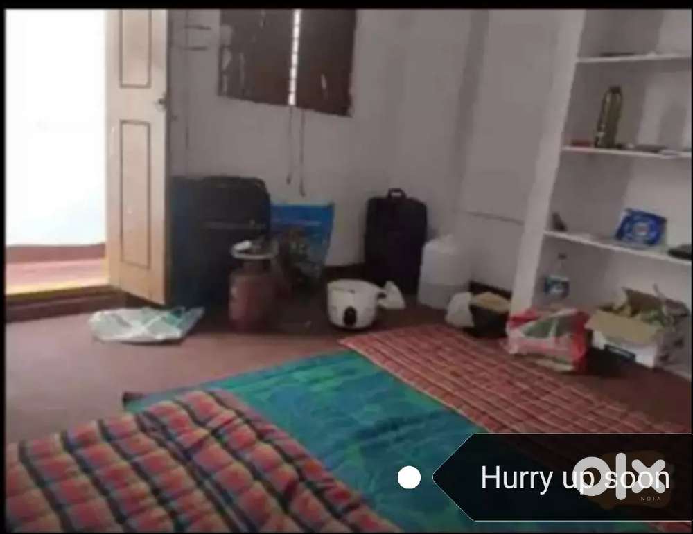 Ground floor and penthouse single room and two rooms attached bathroom