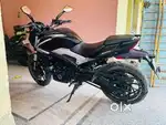 Bajaj Dominar 250 – Excellent Condition – Low KM
