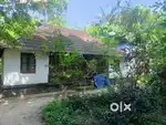 Plot for sales