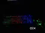 Keyboard and Mouse