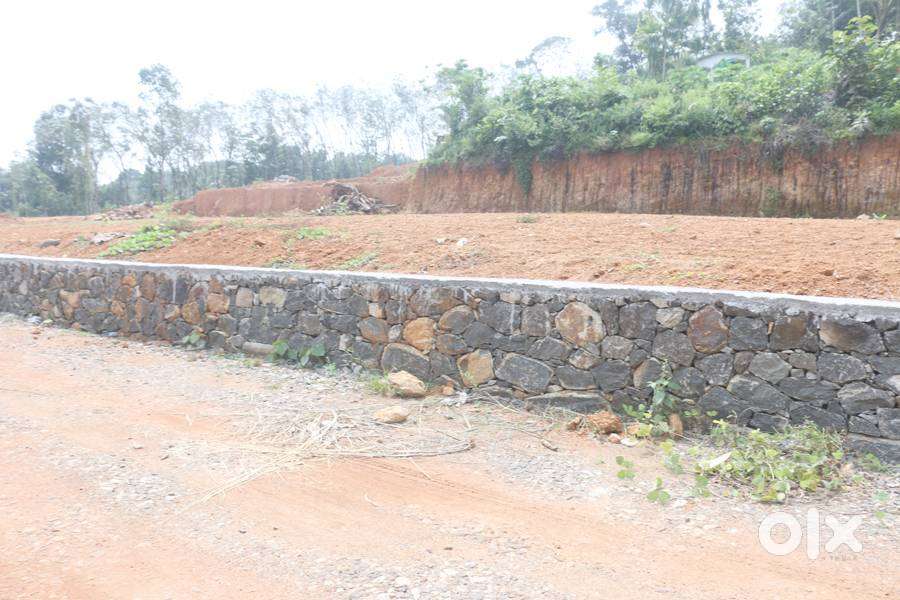 House plot 20 cents near Punnathura-Kattachira 2.5 lakh/cent