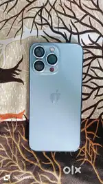 13 pro sera bule