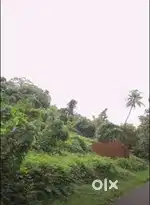 സൗകര്യസ്ഥലത്ത് 2.25 ഏക്കർ ഭൂമി വിൽപ്പനയ്ക്ക്
