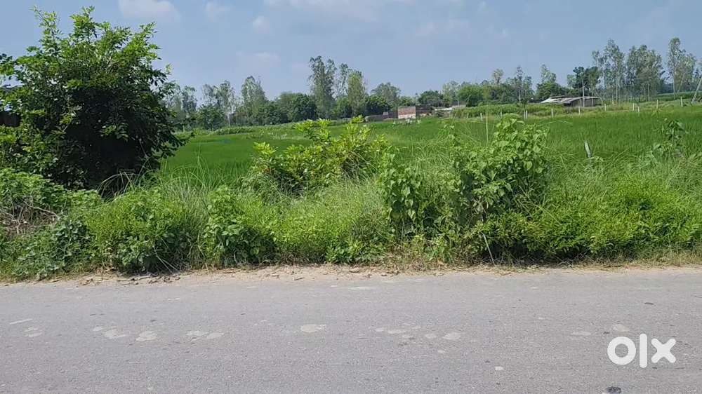 बिजनेस और शोरूम के लिए शानदार जमीन
हैं ऑन हाईवे