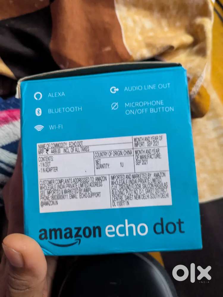 Echo Dot alexa