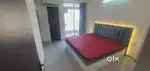 PREMIUM 2 BHK FURNISHED HOME FOR RENT