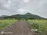 Pathardi gaulane road plot nashik