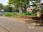 Land for Sale Girinagar kadavanthra Kochi