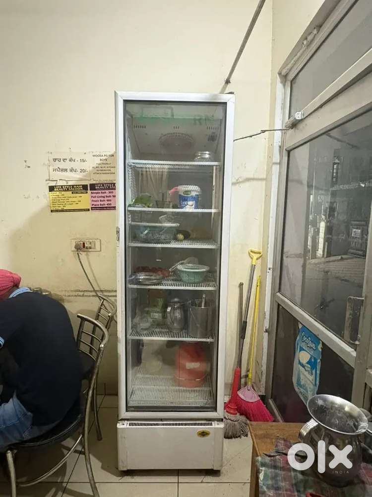 Western Refrigerator R290