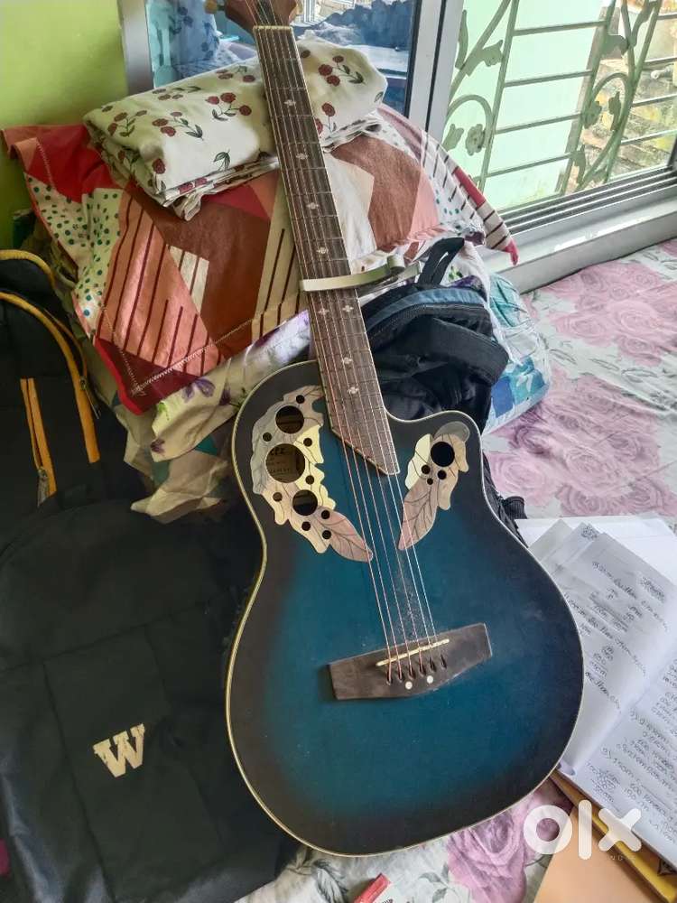 Hertz guiter