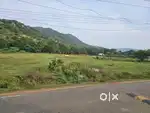 1.25 acres sale behind mahindra World City chengalpattu