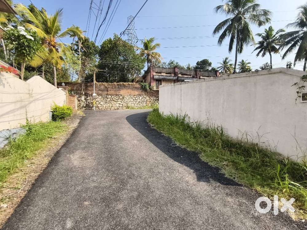 ID- K231648 Residential 5Cent Land For Sale in Parutipara Parottukonam