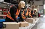Picking and packing job @ adyar