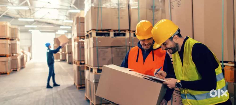 LOOKING CANDIDATES FOR WEARHOUSE COMPANY FRESHERS AND EXPERIENCED