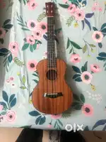 Hertz Ukulele