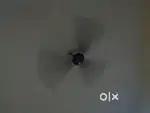 Seling my fan