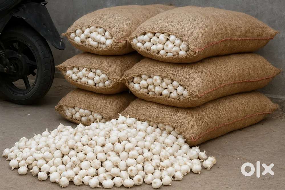 “Fresh Garlic for Sale – Wholesale & Retail”.