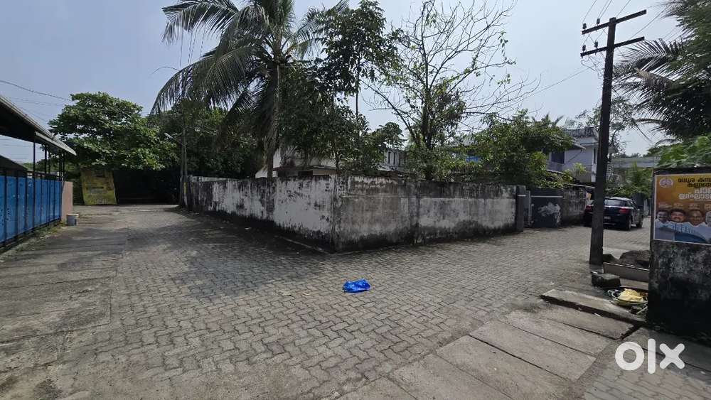 Ernakulam thoppumpady pallurutthi 7 cent house plot for sale