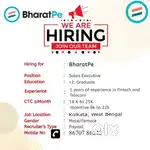 Bharatpe Field Sales Representative