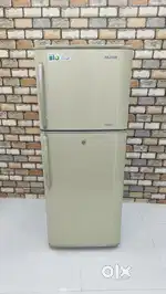 Samsung 250 liters 4 star rating double door frost free fridge