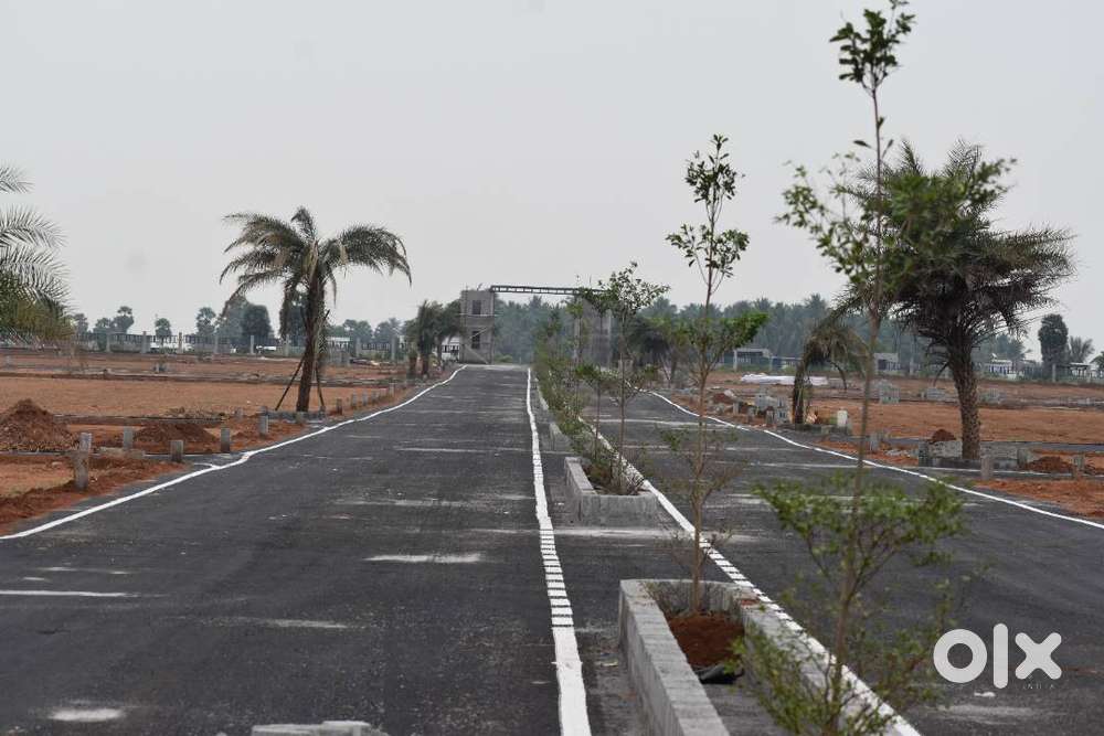 திண்டுக்கல் ஏர்போர்ட் நகர் அருகில்! DTCP Approved வீட்டுமனைகள்