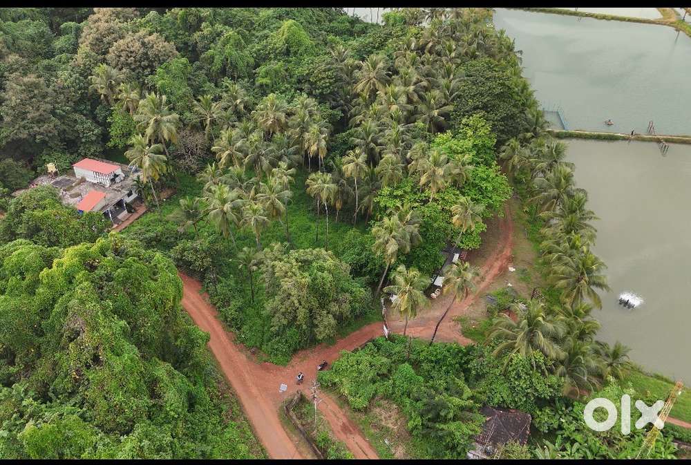 River view plot on divar island