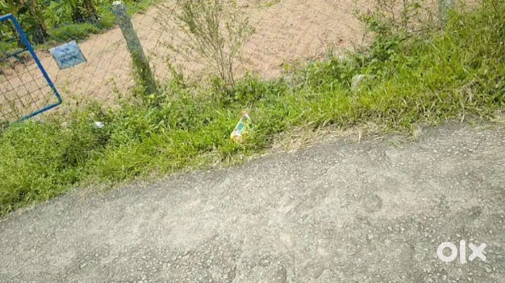 Plot for Sale near Vembayam Jn