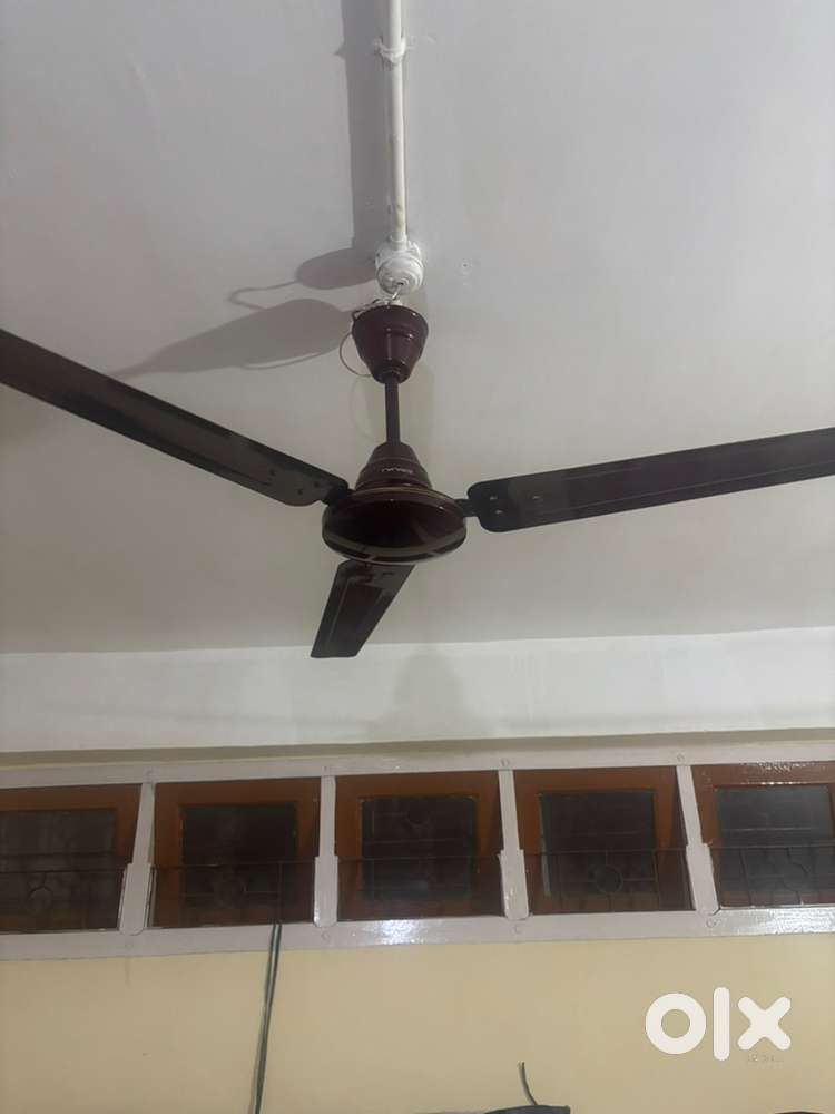 Bajaj Ceiling fan