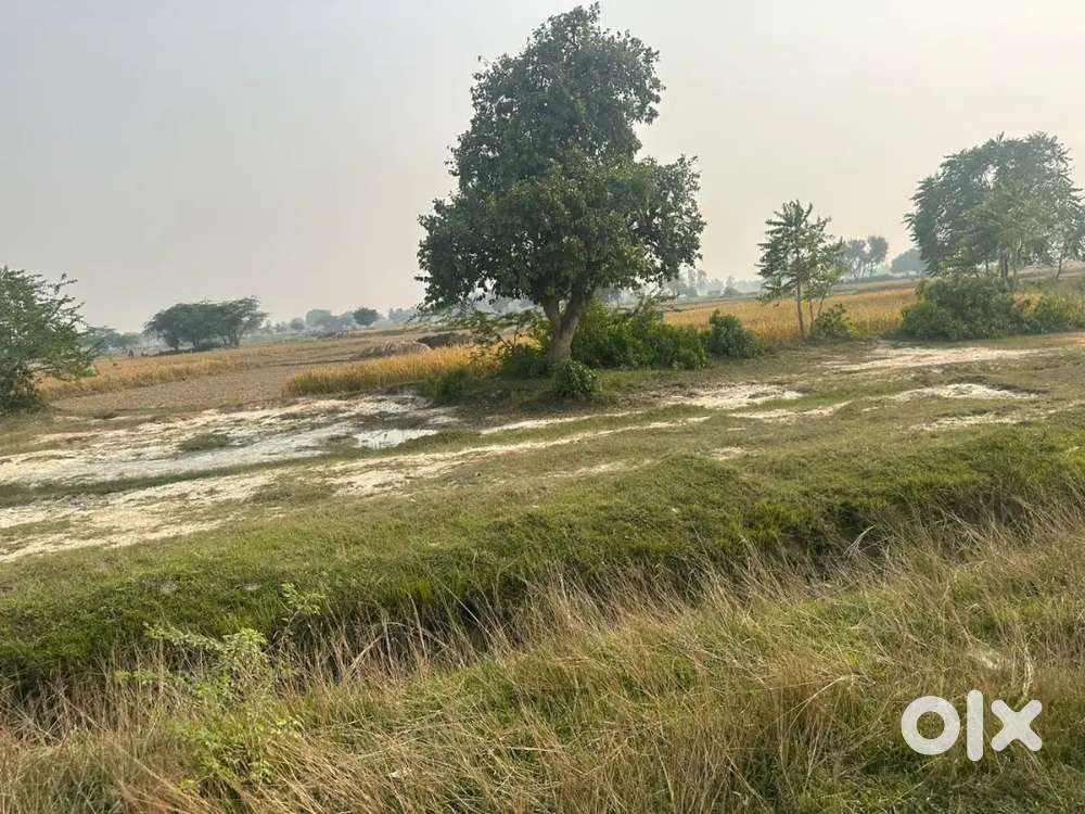 लखनऊ शहर में फार्म हाउस एवं खेती के लिए बीघे में जमीन खरीदे