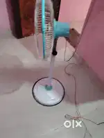 Room mate need