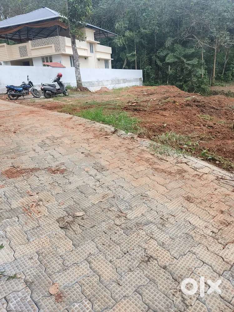 Beautiful and silent plot ideal for family