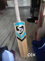 Best quality kashmir willow cricket bat SG