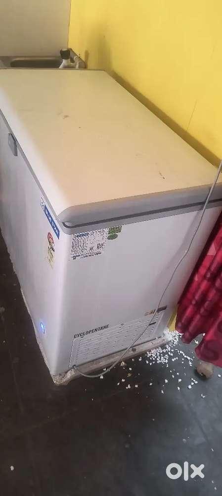 Blue star 215l single door standard deep freezer