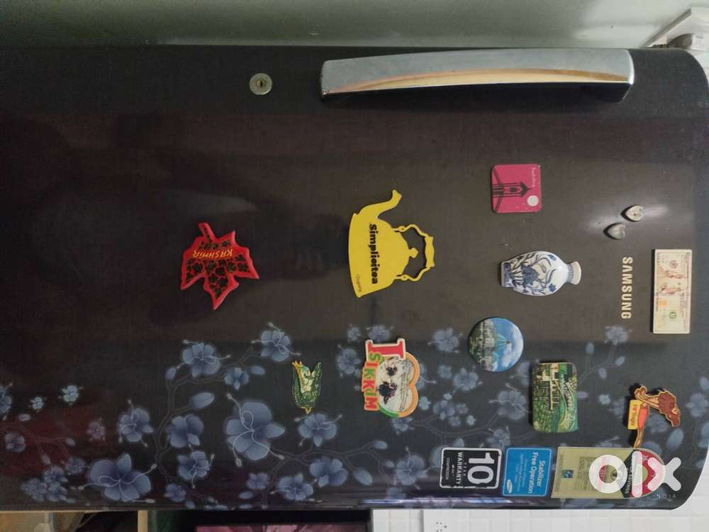 Samsung Fridge