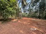 55 cent or 5 cent Res plot for sale Peruvayal