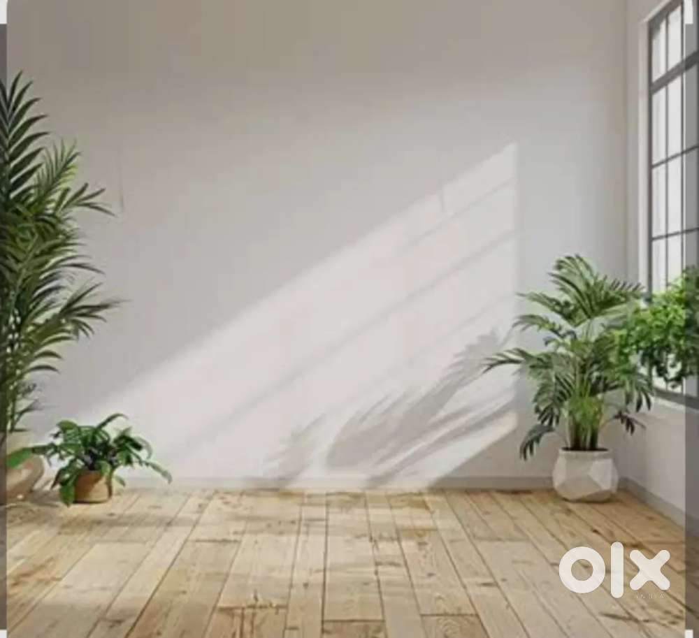 Home cleaning and maintenance