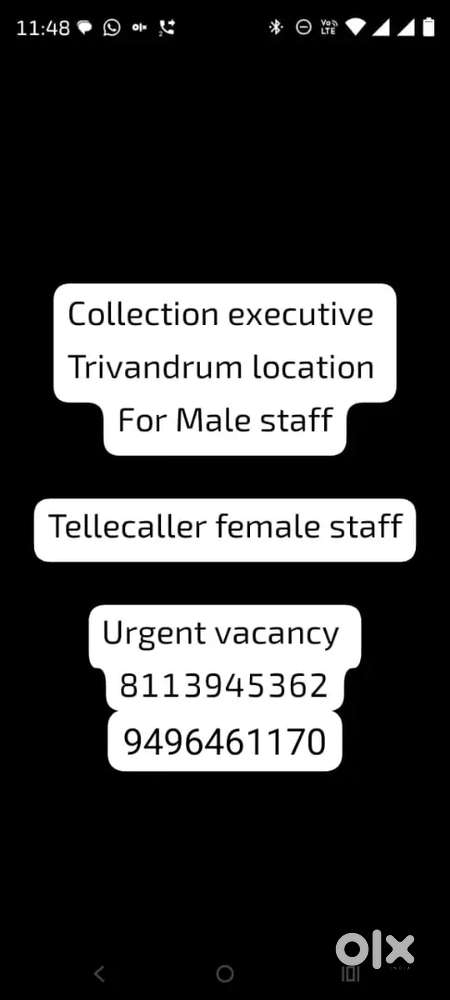 Collection executive