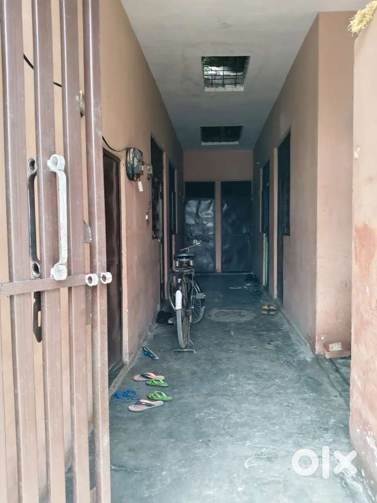 Rent house ,