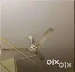 Celling Fan