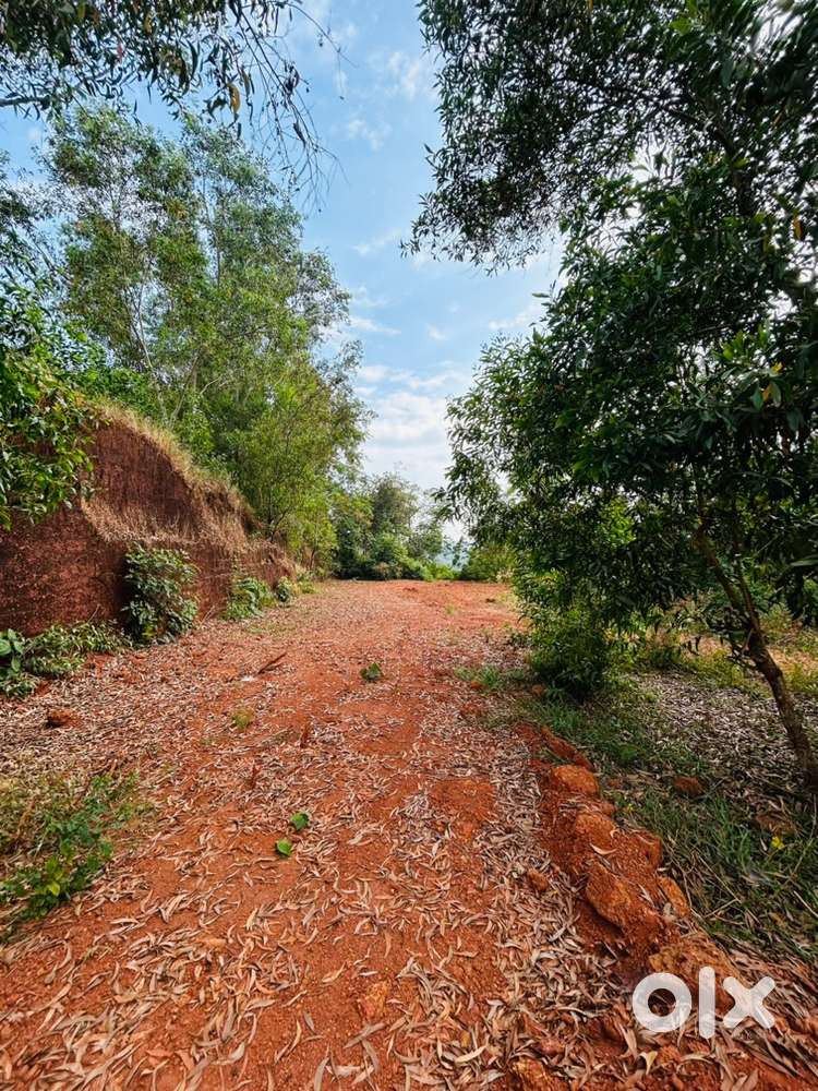 82 CENT PLOT FOR SALE