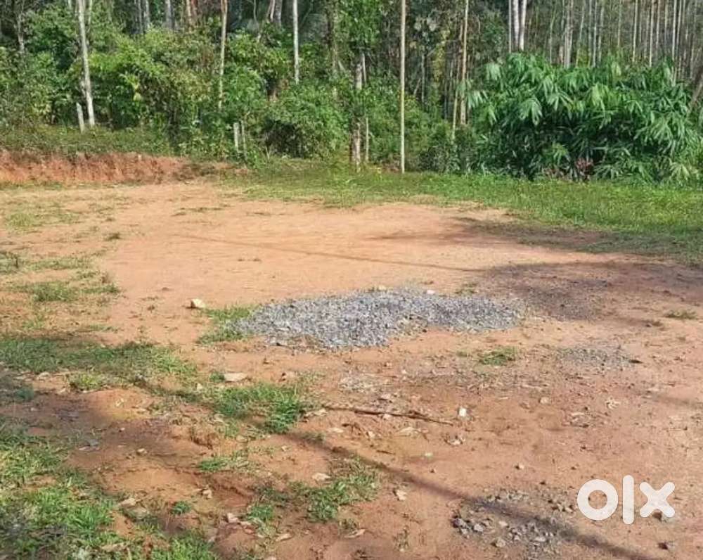 മീനങ്ങാടിയിൽ 10 സെൻ്റ് ഹൗസ് പ്ലോട്ട് വില്പനയ്ക്ക്