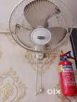 Polar wall fan