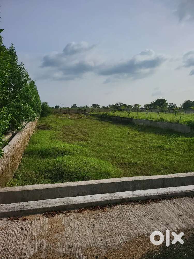 Right choice service