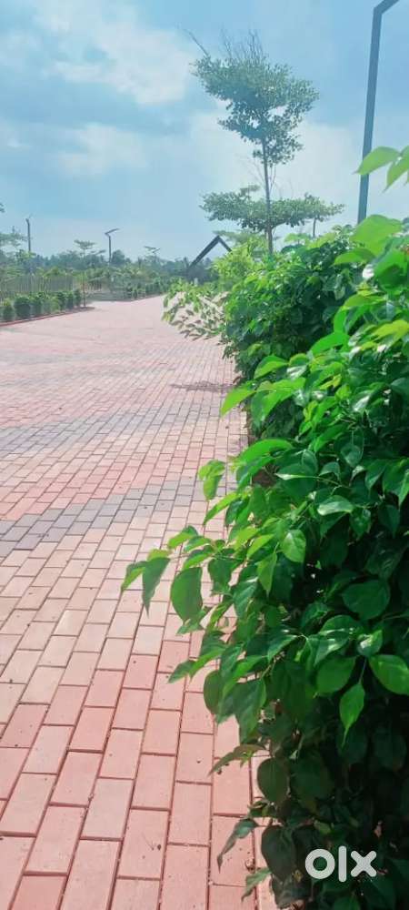 Fruits Farm Community Project