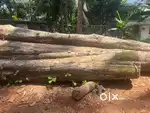 Teak wood for sale