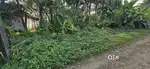 6 cent ,purayidam status,near AKANAD LP SCHOOL,
