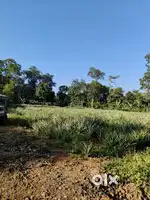 Dream Land for Sale - Near Bharananganam