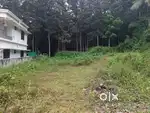 17 cent plot(7or8) at kizhavaloor pallypady area for sale