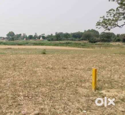 SECURED PLOT COVERED CAMPUS PLOT